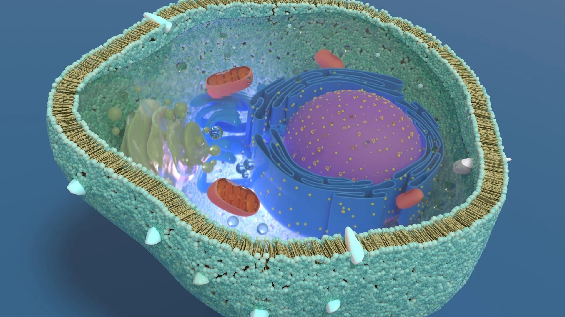 Revolúcia v Anti-Aging a Dlhovekosti – Komplexný Vedecký Prehľada